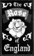 Rose of England